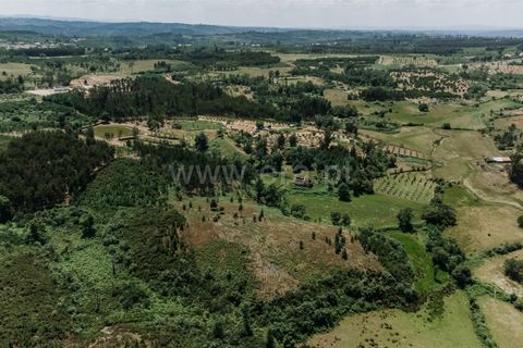 Farm i Seia, Guarda, Seia - € 65.000 | Ref: 382250076 - foto 6