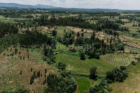 Farm i Seia, Guarda, Seia - € 65.000 | Ref: 382250076 - foto 7