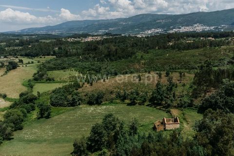 Farm i Seia, Guarda, Seia - € 65.000 | Ref: 382250076 - foto 8