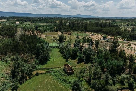 Farm i Seia, Guarda, Seia - € 65.000 | Ref: 382250076 - foto 9