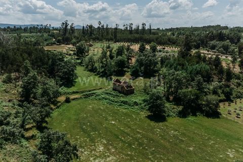Farm i Seia, Guarda, Seia - € 65.000 | Ref: 382250076 - foto 10