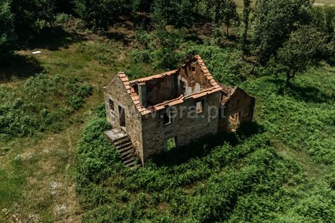 Farm i Seia, Guarda, Seia - € 65.000 | Ref: 382250076 - foto 11