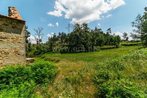 Farm i Seia, Guarda, Seia - € 65.000 | Ref: 382250076 - foto 14