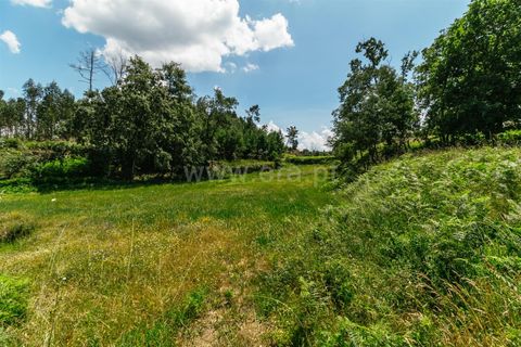 Farm i Seia, Guarda, Seia - € 65.000 | Ref: 382250076 - foto 15