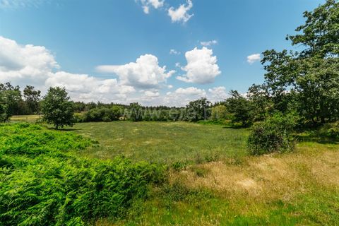 Farm i Seia, Guarda, Seia - € 65.000 | Ref: 382250076 - foto 17