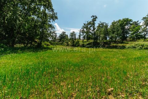 Farm i Seia, Guarda, Seia - € 65.000 | Ref: 382250076 - foto 18