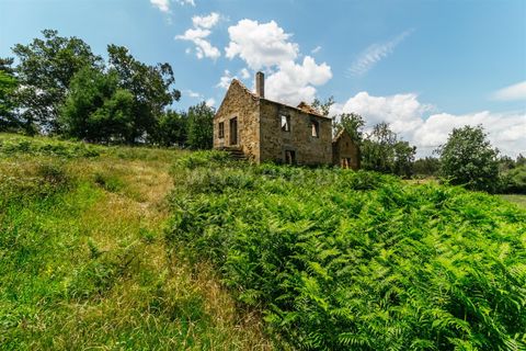 Farm i Seia, Guarda, Seia - € 65.000 | Ref: 382250076 - foto 19