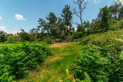Farm i Seia, Guarda, Seia - € 65.000 | Ref: 382250076 - foto 20