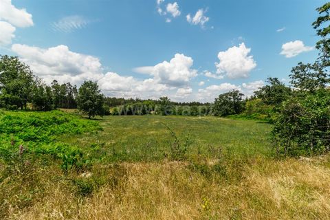 Farm i Seia, Guarda, Seia - € 65.000 | Ref: 382250076 - foto 21
