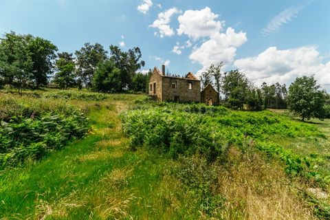 Farm i Seia, Guarda, Seia - € 65.000 | Ref: 382250076 - foto 22