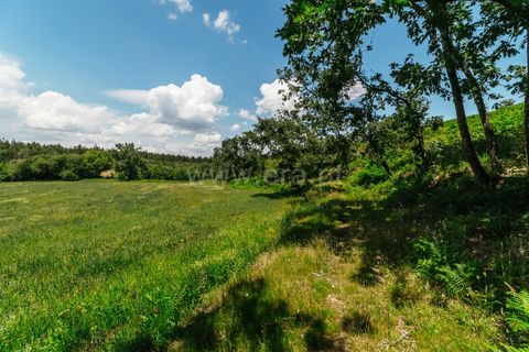 Farm i Seia, Guarda, Seia - € 65.000 | Ref: 382250076 - foto 23