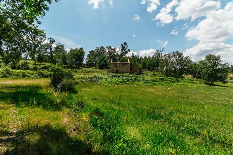 Farm i Seia, Guarda, Seia - € 65.000 | Ref: 382250076 - foto 24