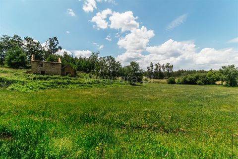 Farm i Seia, Guarda, Seia - € 65.000 | Ref: 382250076 - foto 25