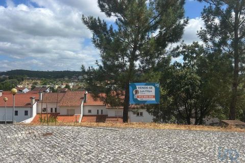 Terra a Pombal, Leiria, Pombal - € 47.000 | Ref: 146562 - foto 2