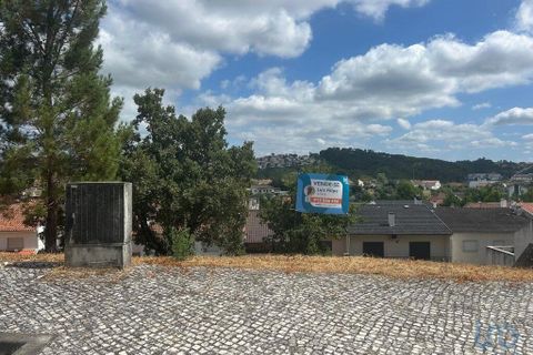 Terra a Pombal, Leiria, Pombal - € 47.000 | Ref: 146562 - foto 7
