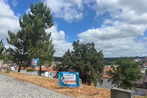 Terra a Pombal, Leiria, Pombal - € 47.000 | Ref: 146562 - foto 10