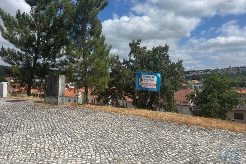 Terra a Pombal, Leiria, Pombal - € 47.000 | Ref: 146562 - foto 11