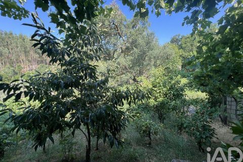 Byhus i Penela, Coimbra, Penela - € 90.000 | Ref: 146861 - foto 22