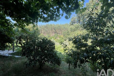 Byhus i Penela, Coimbra, Penela - € 90.000 | Ref: 146861 - foto 23