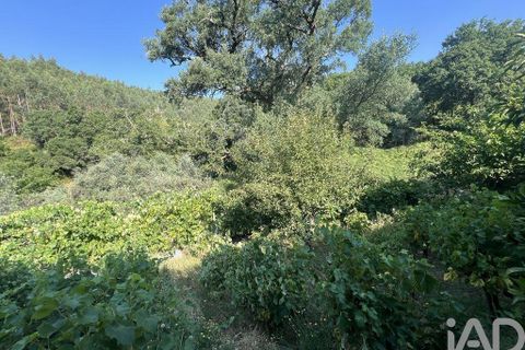 Byhus i Penela, Coimbra, Penela - € 90.000 | Ref: 146861 - foto 24