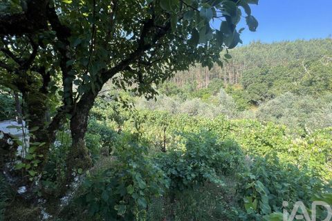 Byhus i Penela, Coimbra, Penela - € 90.000 | Ref: 146861 - foto 25