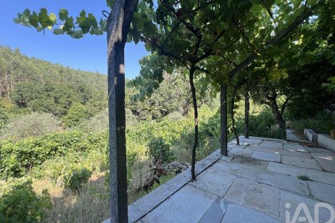 Byhus i Penela, Coimbra, Penela - € 90.000 | Ref: 146861 - foto 26