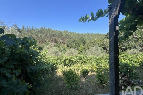 Byhus i Penela, Coimbra, Penela - € 90.000 | Ref: 146861 - foto 27