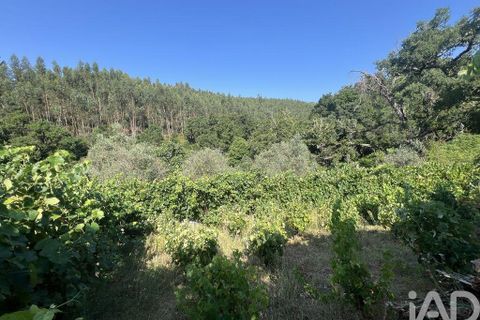 Byhus i Penela, Coimbra, Penela - € 90.000 | Ref: 146861 - foto 28