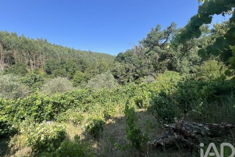 Byhus i Penela, Coimbra, Penela - € 90.000 | Ref: 146861 - foto 29