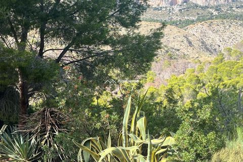 Helårsgrund i Altea, Alicante, Altea - € 120.000 | Ref: MNN52764 - foto 2