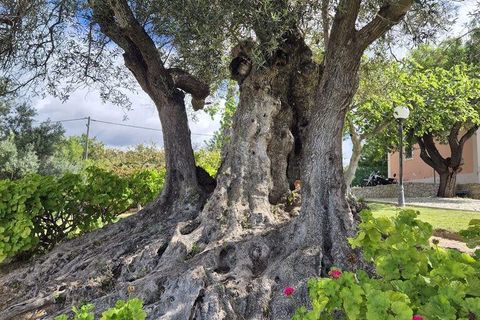 Byhus i Faro, Faro, Faro - € 1.480.000 | Ref: 143058 - foto 25