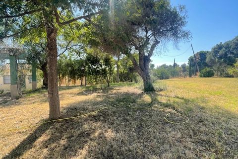 Cortijo i Ayamonte, Huelva, Ayamonte - € 950 000 | Ref: RAC001641/10841 - foto 7