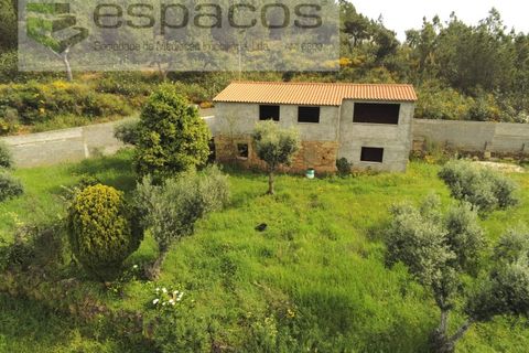 Farm i Castelo Branco, Castelo Branco, Castelo Branco - € 120.000 | Ref: 5836/FA - foto 4