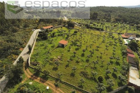 Farm i Castelo Branco, Castelo Branco, Castelo Branco - € 120.000 | Ref: 5836/FA - foto 3