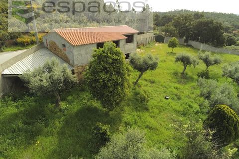 Farm i Castelo Branco, Castelo Branco, Castelo Branco - € 120.000 | Ref: 5836/FA - foto 6