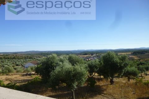 Farm i Castelo Branco, Castelo Branco, Castelo Branco - € 120.000 | Ref: 5836/FA - foto 11