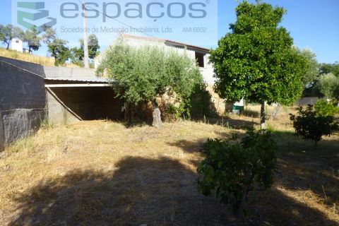 Farm i Castelo Branco, Castelo Branco, Castelo Branco - € 120.000 | Ref: 5836/FA - foto 13