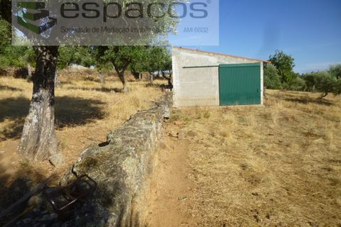 Farm i Castelo Branco, Castelo Branco, Castelo Branco - € 120.000 | Ref: 5836/FA - foto 14