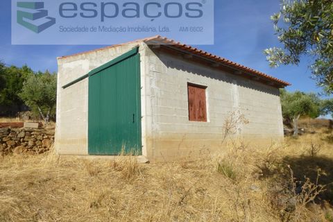 Farm i Castelo Branco, Castelo Branco, Castelo Branco - € 120.000 | Ref: 5836/FA - foto 2