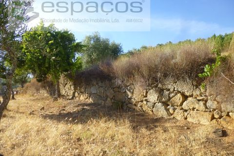 Farm i Castelo Branco, Castelo Branco, Castelo Branco - € 120.000 | Ref: 5836/FA - foto 17