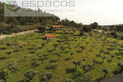 Farm i Castelo Branco, Castelo Branco, Castelo Branco - € 120.000 | Ref: 5836/FA - foto 19