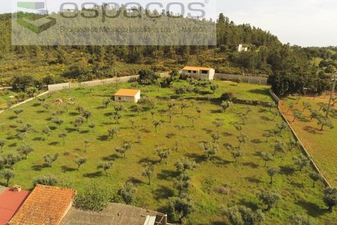 Farm i Castelo Branco, Castelo Branco, Castelo Branco - € 120.000 | Ref: 5836/FA - foto 20
