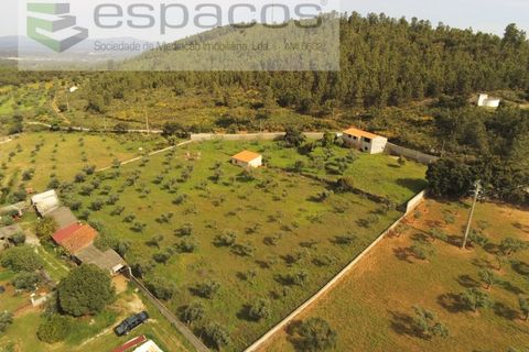 Farm i Castelo Branco, Castelo Branco, Castelo Branco - € 120.000 | Ref: 5836/FA - foto 21
