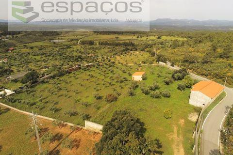 Farm i Castelo Branco, Castelo Branco, Castelo Branco - € 120.000 | Ref: 5836/FA - foto 22