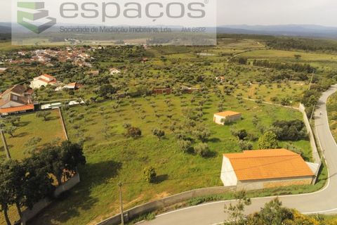 Farm i Castelo Branco, Castelo Branco, Castelo Branco - € 120.000 | Ref: 5836/FA - foto 23