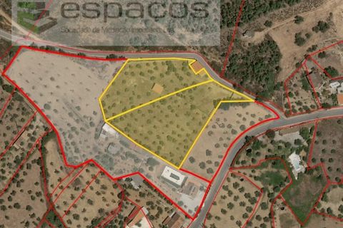 Farm i Castelo Branco, Castelo Branco, Castelo Branco - € 120.000 | Ref: 5836/FA - foto 24