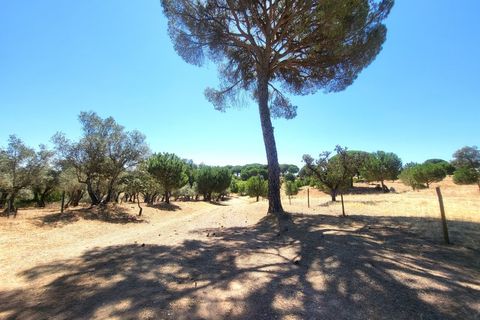 Landejendom i Evora, Evora, Evora - € 1.300.000 | Ref: JG2310 - foto 19
