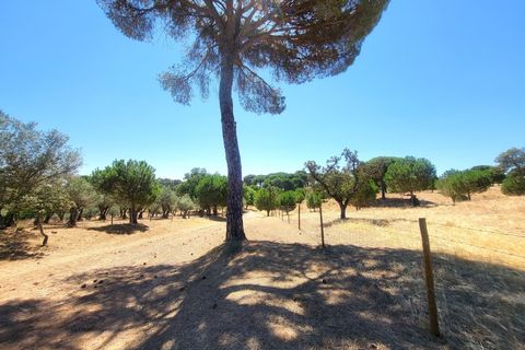 Landejendom i Evora, Evora, Evora - € 1.300.000 | Ref: JG2310 - foto 20