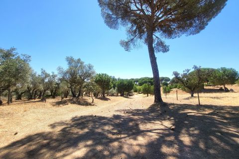 Landejendom i Evora, Evora, Evora - € 1.300.000 | Ref: JG2310 - foto 47