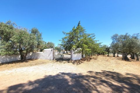 Landejendom i Evora, Evora, Evora - € 1.300.000 | Ref: JG2310 - foto 21